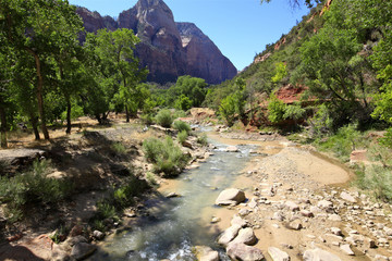 Wall Mural - Zion national Parc