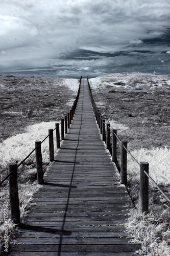 Naklejka na szybę Dune walkway