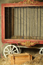 Empty Cage For Animals With Gold Ornament In Circus