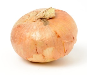 Onion