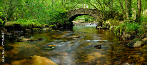 Tapeta ścienna Most dartmoor