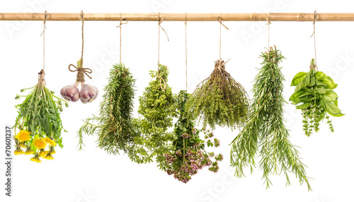 Naklejka nad blat kuchenny hanging bunches of fresh spicy herbs. herbal medicine