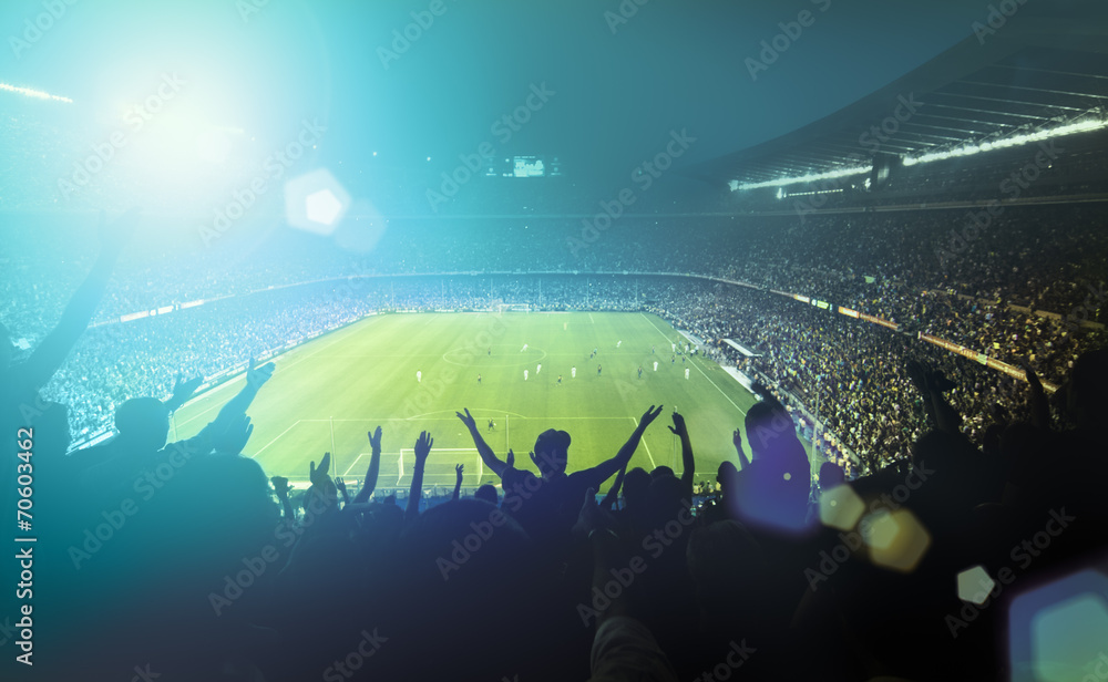 crowded football stadium - obrazy, fototapety, plakaty 