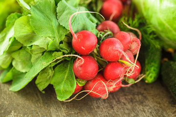 Canvas Print - Fresh radish bunch