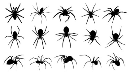 spider silhouettes