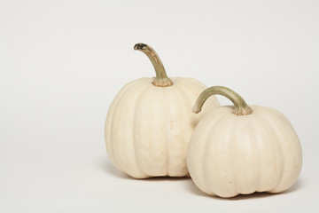 Albino Pumpkins