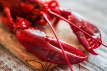 Cooked Lobster On Wooden Background
