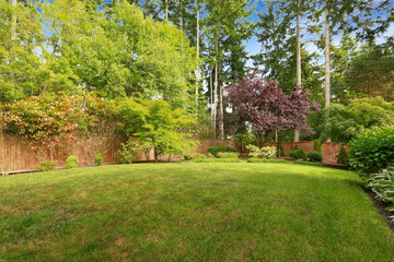 Spacious backyard with fence.