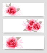 Three Banners With Pink Roses. Vector.
