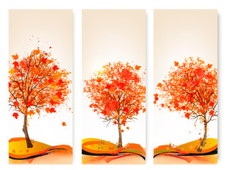 Poster - Three autumn abstract banners with colorful leaves and trees.Vec