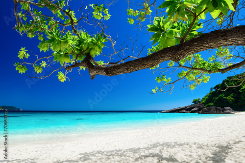 Board z aluminiowym obramowaniem Tropikalny krajobraz wyspy similan, Tajlandia