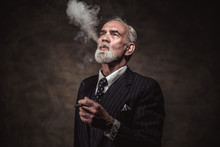 Cigar Smoking Characteristic Senior Business Man With Gray Hair