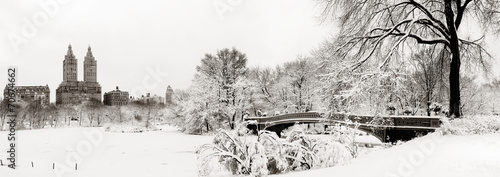 Fotoboard na płycie Zimowy park centralny
