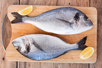 Two fresh gilt-head bream fish on cutting board