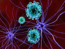 Viruses Attacking Nerve Cells, Neurologic Diseases, Tumors