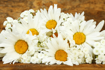 Poster - Beautiful chamomiles on wooden background