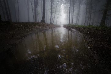 Wall Mural - man shadow in a dark forest reflecting in water
