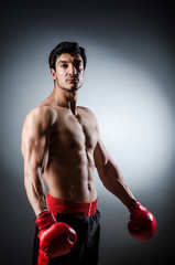 Muscular boxer wiith red gloves