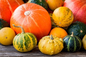 ripe organic colored pumpkins