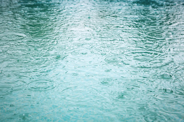 Wall Mural - rainy weather