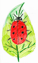Ladybug On Leaf. Child Drawing.