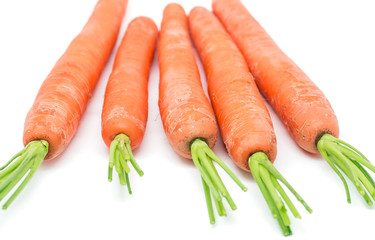 Wall Mural - Carrots 15