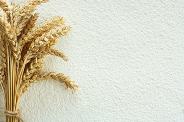 Canvas Print - Wheat flour and wheat spike