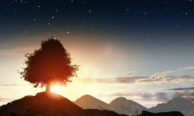 Wall Mural - natural landscape