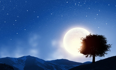 Wall Mural - natural landscape