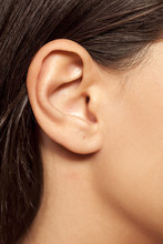 Close-up Of Female Ear
