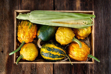 Wall Mural - pumpkins