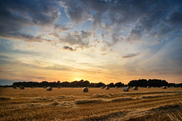 Rural landscape image of Summer sunset over field of hay bales