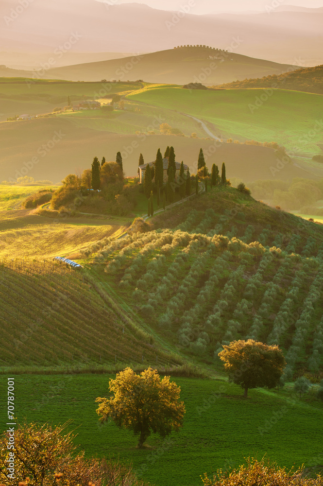 The beautiful Tuscan countryside around San Quirico d'Orcia, Ita - obrazy, fototapety, plakaty 