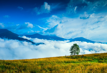 Wall Mural - amazing mountain landscape with fog and a haystack