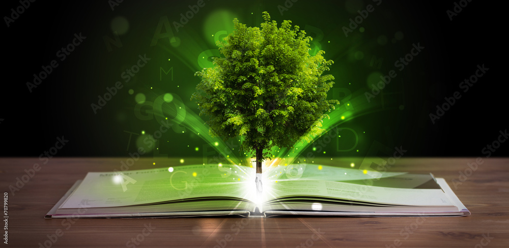 Open book with magical green tree and rays of light - obrazy, fototapety, plakaty 