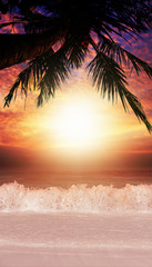 Wall Mural - Tropical sea coast at sunset time