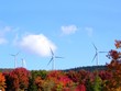 wind turbines on an autumn day