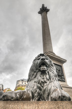 Lion Statue, Trafalgar Square, London, UK