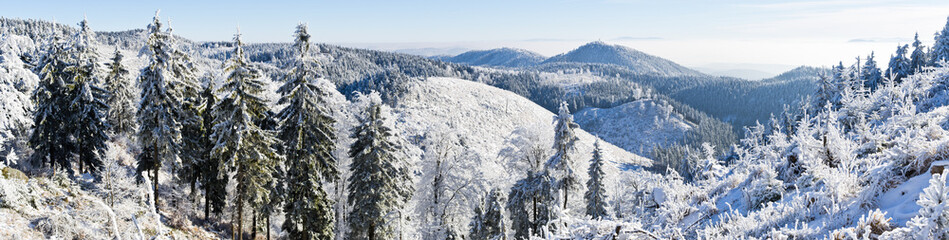 Poster - Winter panorama