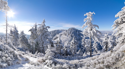 Sticker - Winter panorama