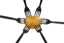 Potatoes On Forks II