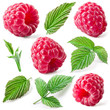 Raspberry isolated. Collection