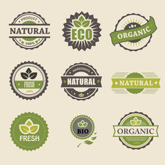 Ecology, organic icon set. Eco-icons