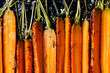 Roasted carrots with herbs