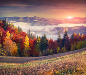 Poster - Colorful autumn sunrise in the mountains.