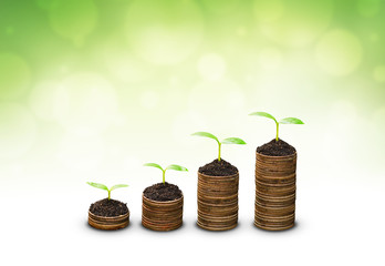 Wall Mural - trees growing on coins / csr / sustainable development