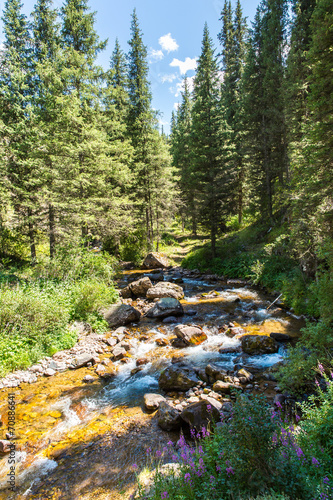 Naklejka dekoracyjna Assy plateau in Tien-Shan mountain in Almaty, Kazakhstan