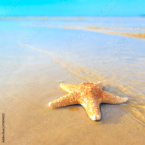 Tapeta ścienna Piasek krajobraz plaży