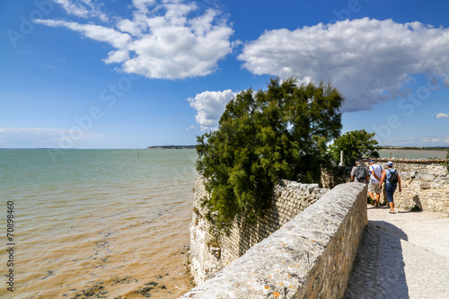 Fotografie, Obraz Estuary near a small traditional fortified village