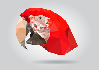 Wall Mural - Macaw Parrot head vector isolatet geometric illustration